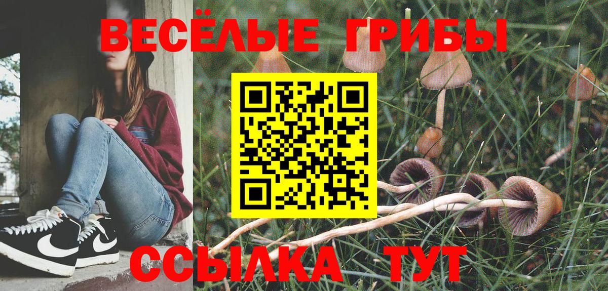 Городец  Псилоцибиновые грибы мухоморы  Вход с VPN  Псилоцибиновые грибы Psilocybe 